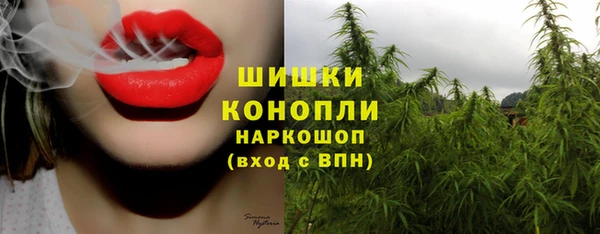 PSILOCYBIN Михайловск