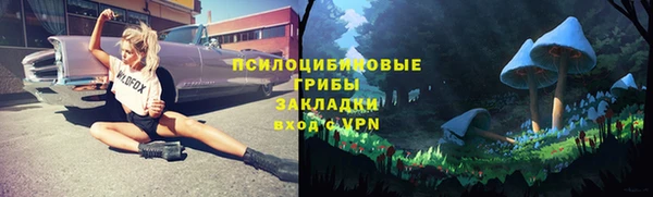 PSILOCYBIN Михайловск