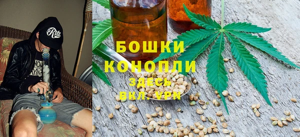 крисы Михайловка