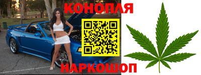 винт Гатчина