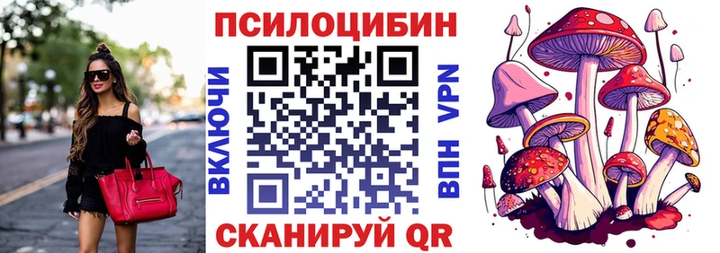 где купить наркотик  Копейск  Галлюциногенные грибы Psilocybe 