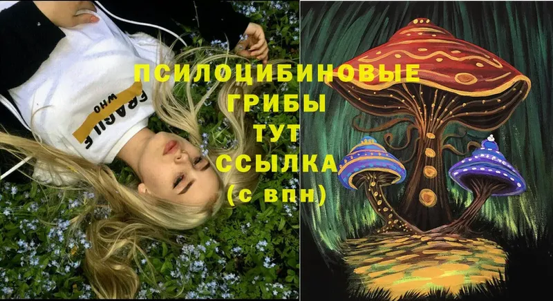 сайты даркнета телеграм  Копейск  Галлюциногенные грибы Magic Shrooms 