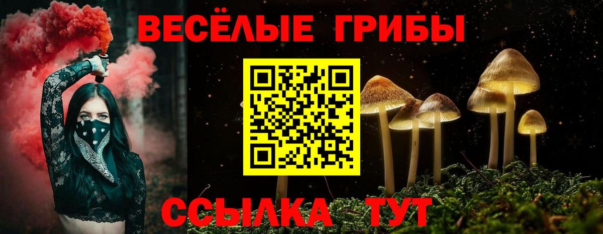 Галлюциногенные грибы мицелий Копейск