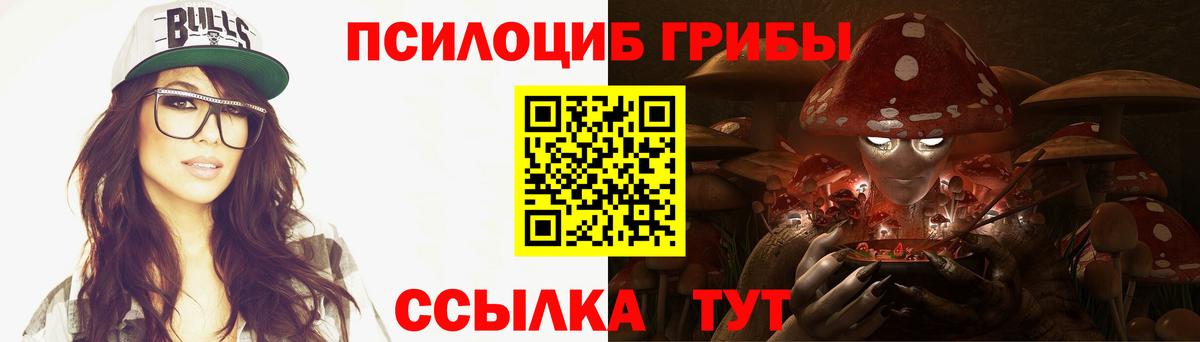 Копейск  Псилоцибиновые грибы Cubensis  Вход с VPN 